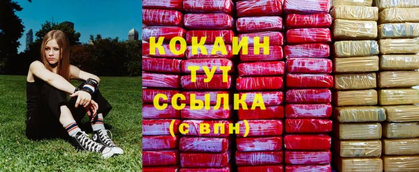 дживик Дмитровск