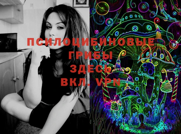 mdpv Алзамай