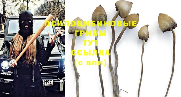 шишки Алексин