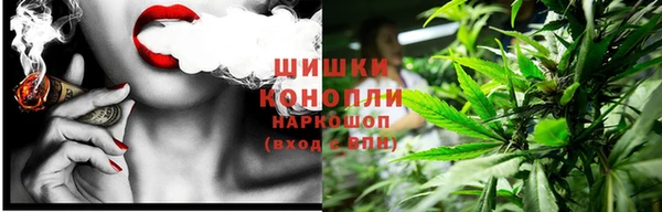 шишки Алексин